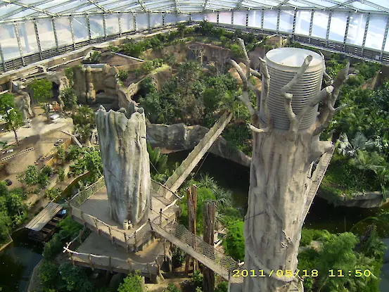 Leistung Gondwanaland im Zoo Leipzig – Bauüberwachung und Brandschutzkonzept