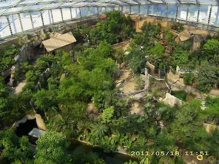 Bild in der Bildergallerie zu Gondwanaland im Zoo Leipzig – Bauüberwachung und Brandschutzkonzept