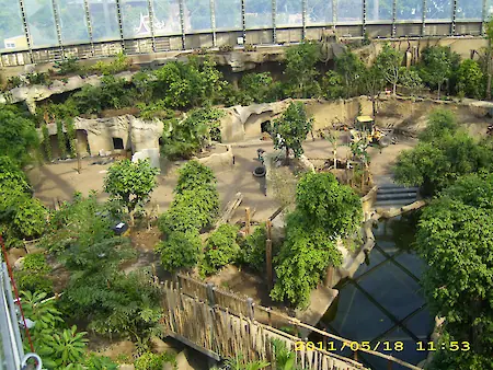 Bild in der Bildergallerie zu Gondwanaland im Zoo Leipzig – Bauüberwachung und Brandschutzkonzept